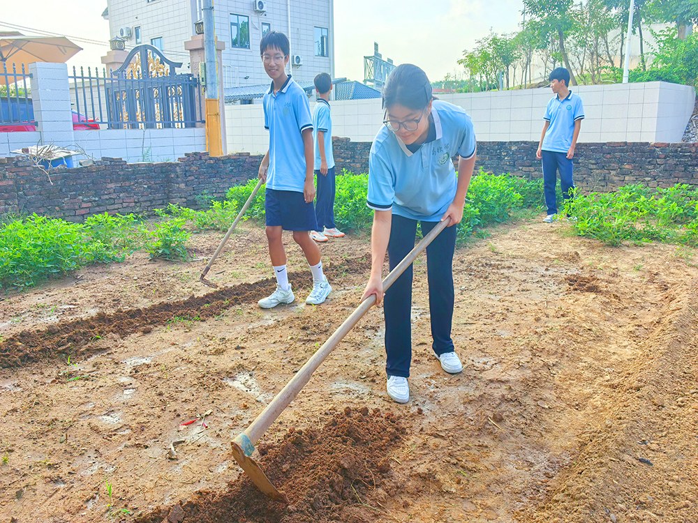 鹤壁孩子逆反期教育学校具体位置与选择指南